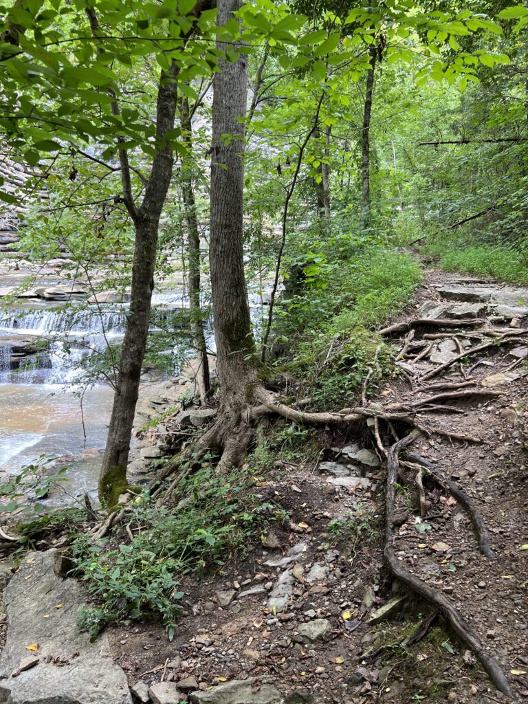 Trail going to waterfall for Roaring River falls 