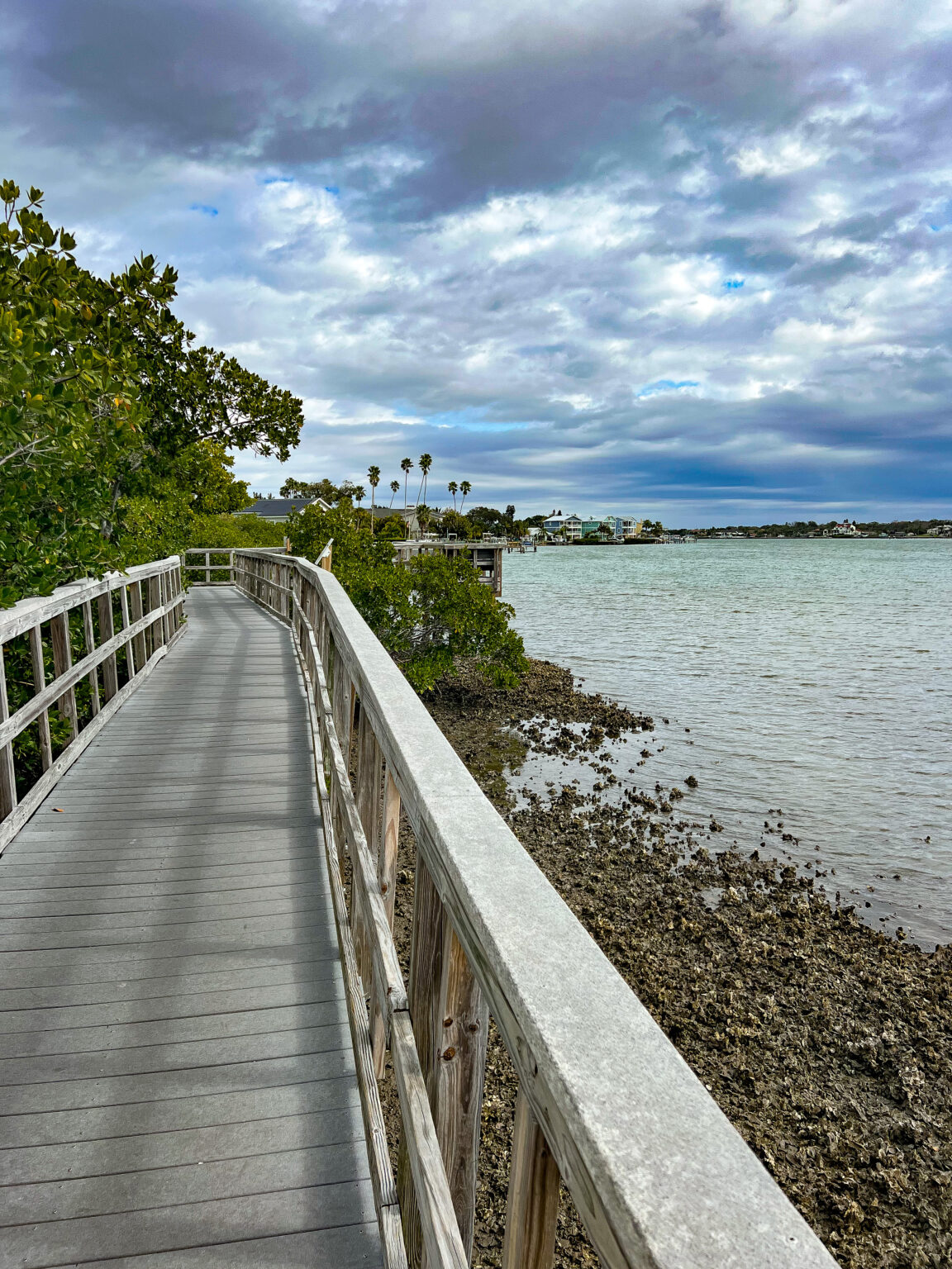 Small Indian Rocks 15 Awesome Things To Do In Indian Rocks Beach Florida