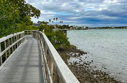 Indian Rocks Beach Nature Preserve