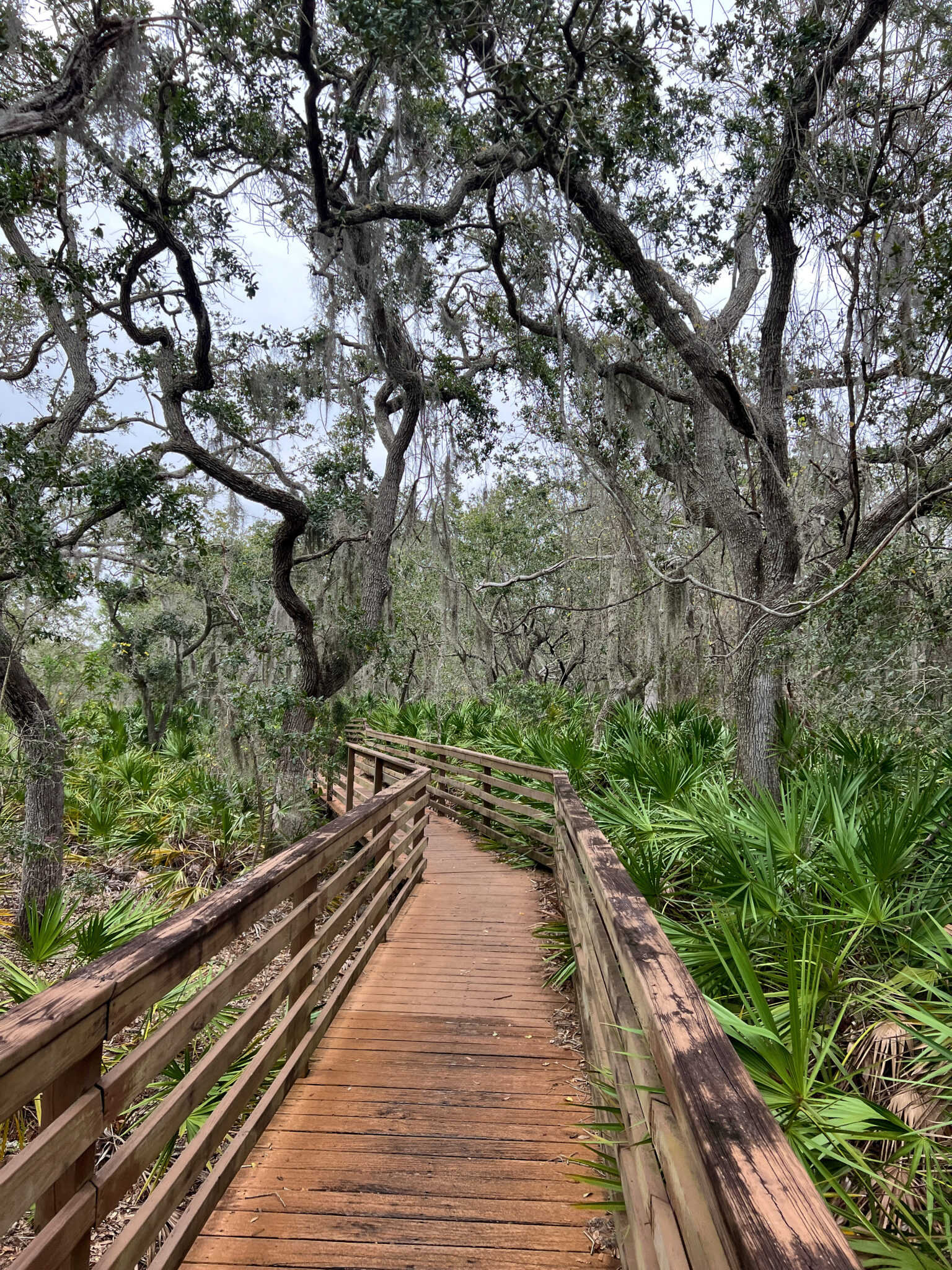 A Guide To Largo’s George McGough Nature Park