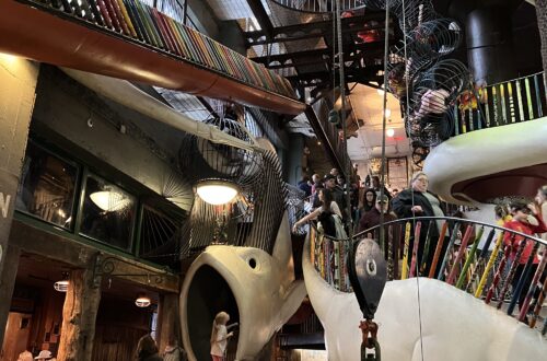 things to do a the city museum