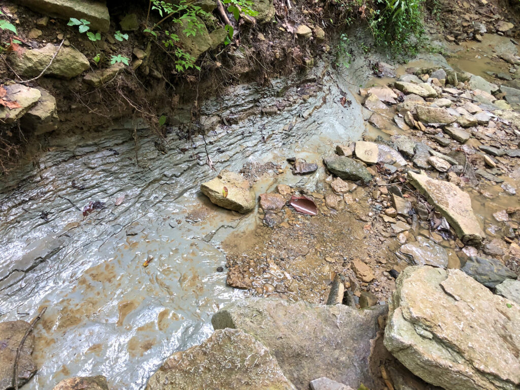 Story Woods Park Creek: creeking in Cincinnati