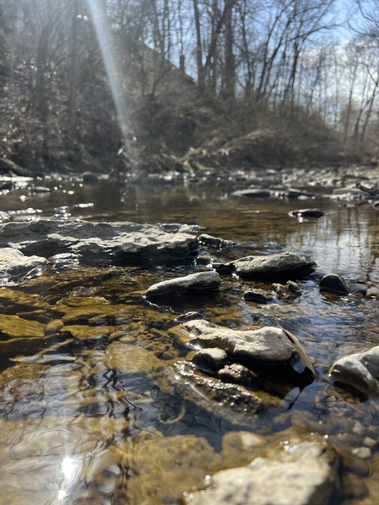 Pioneer Park Creek: One of the top spots to go creeking in Cincinnati