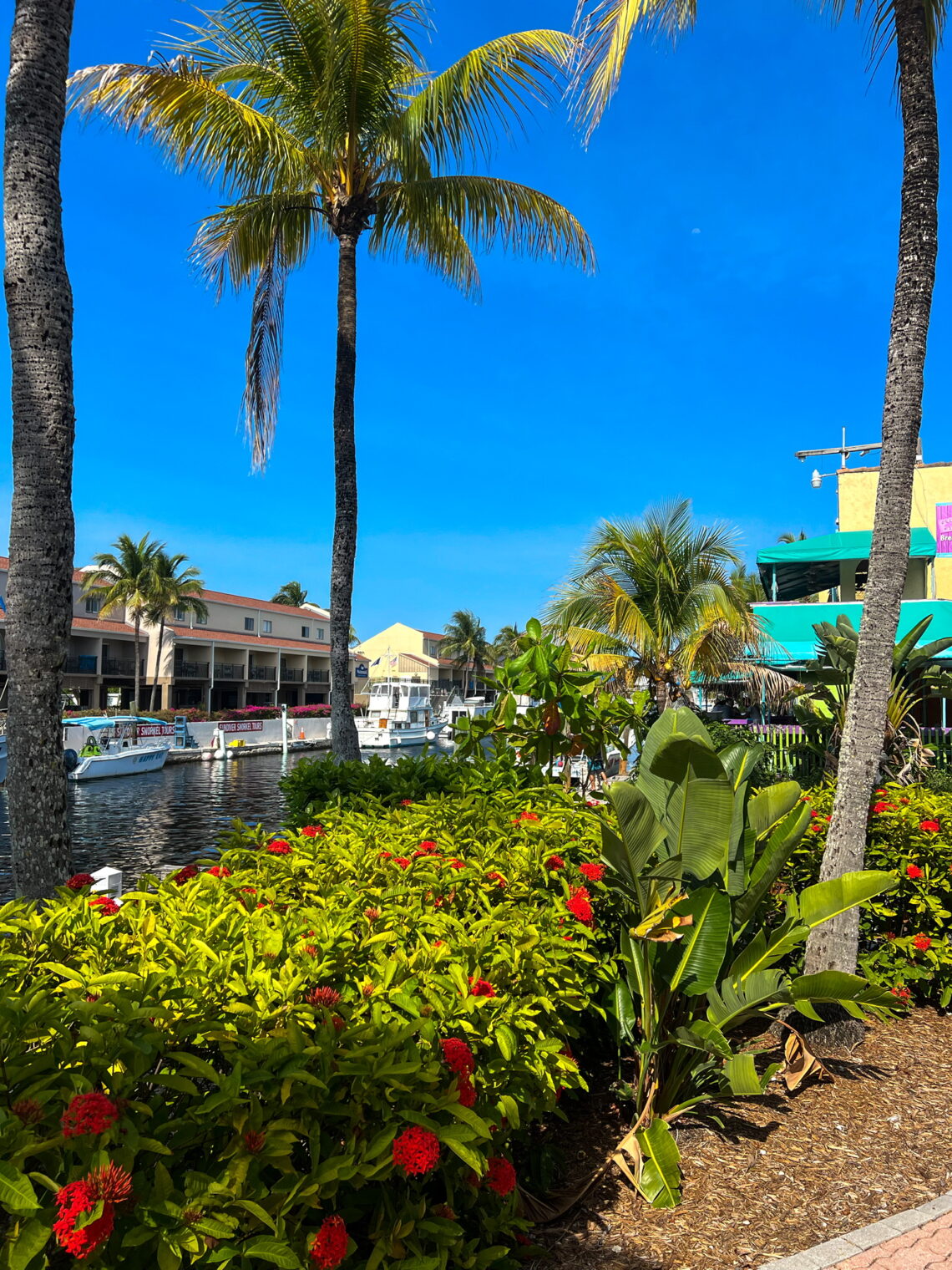 Ultimate Guide To Key Largo