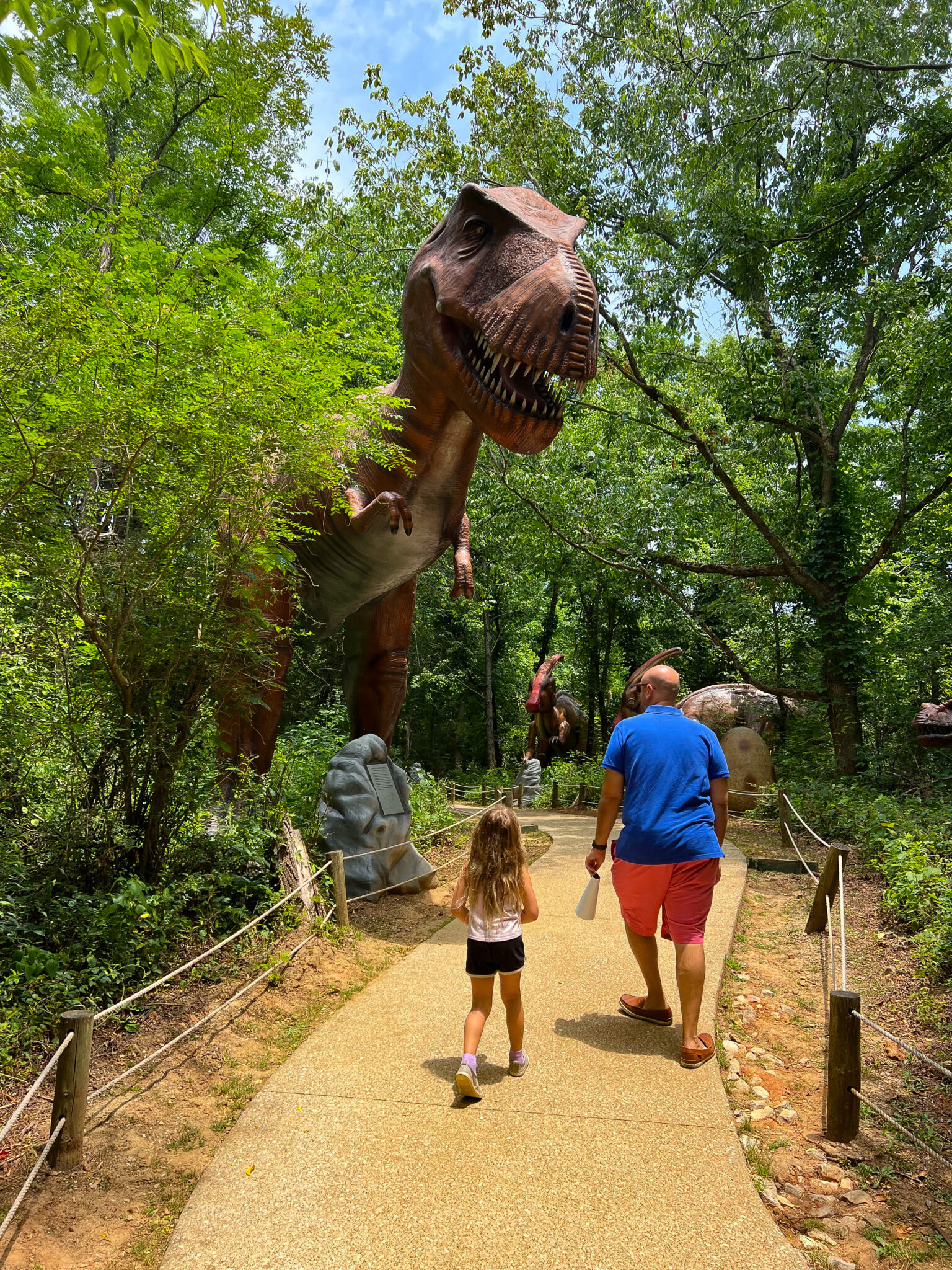 Top Things To Do While Exploring Caves In Bowling Green KY