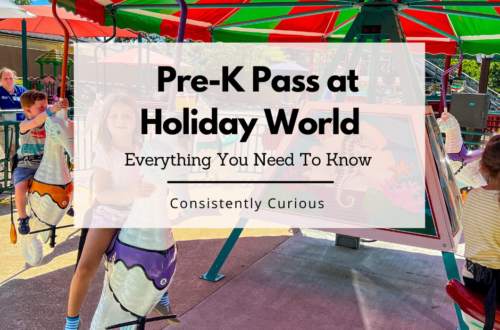 Everything You Need To Know About The Pre-K Passat Holiday World