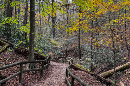 Red River Gorge Weekend Itinerary