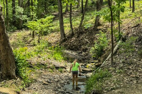 Sellman Park in Madeira Ohio