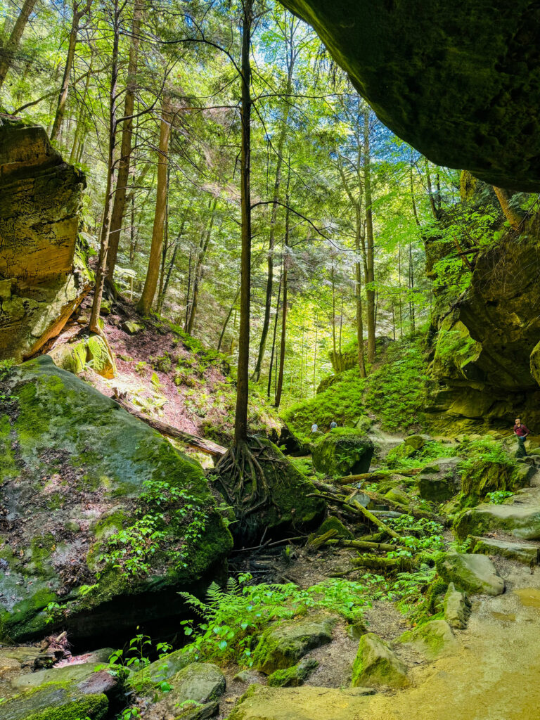 Conkles Hollow Nature Preserve 