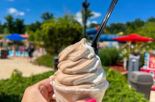 Upgrades You Need At Holiday World & Splashin' Safari