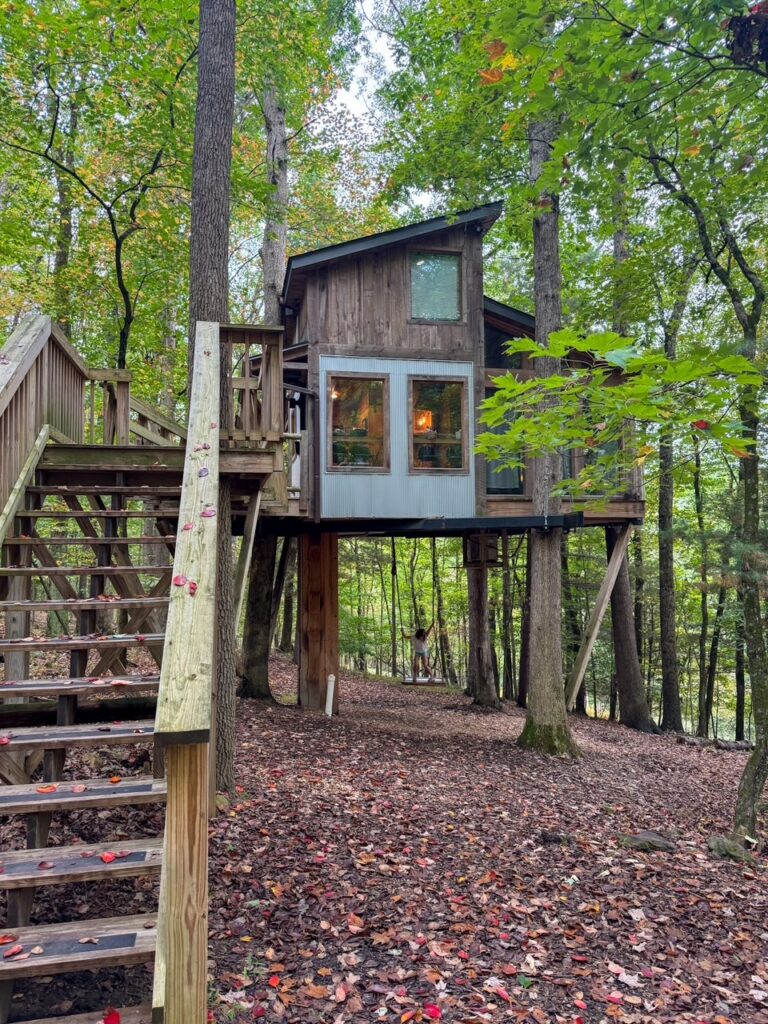 The Nest Treehouse at the Mohican's