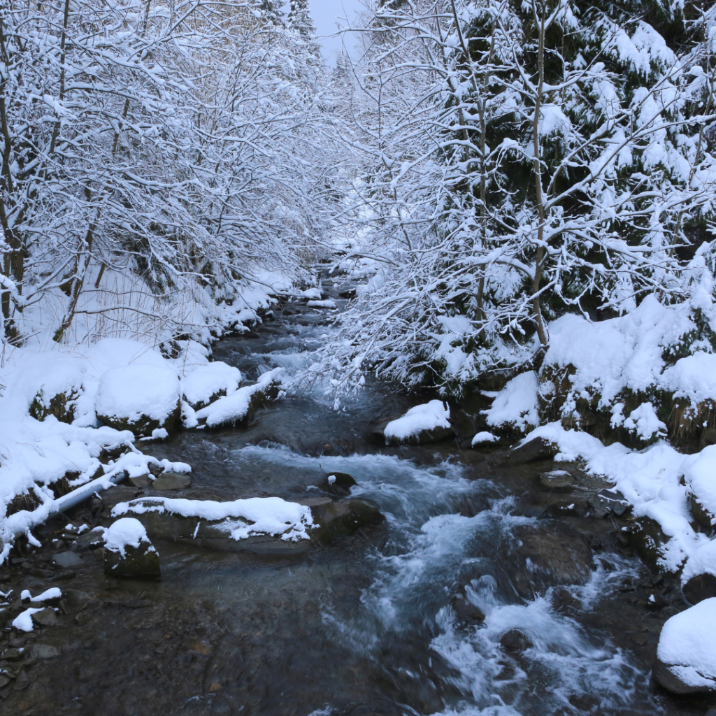 winter getaway ideas from cincinnati