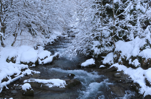 winter getaway ideas from cincinnati