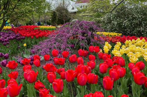 Spring activities in Cincinnati ohio