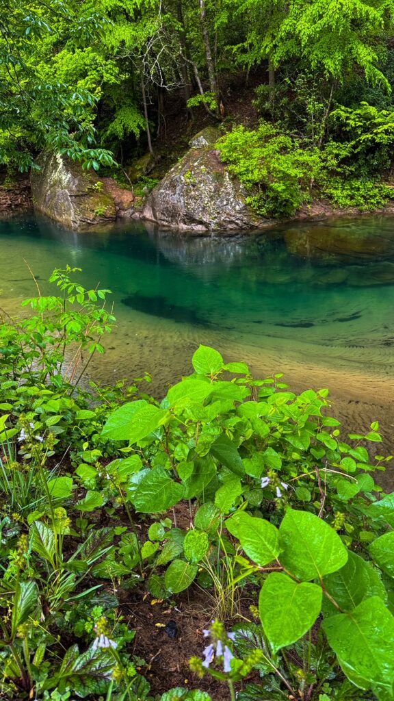 4 Day Itinerary in West Virginia