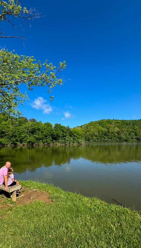 Beech Fork State Park Views