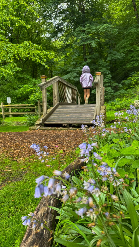 Sunrise Carriage Trail