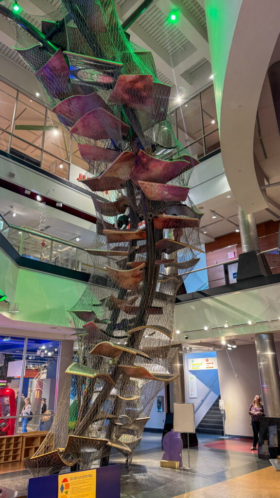 The Clay Center has a climbing structure that kids LOVE!