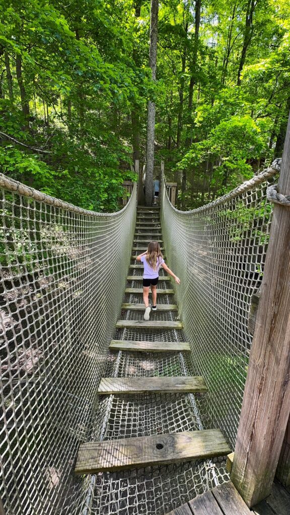 Treehouse Trek at Heritage Farm