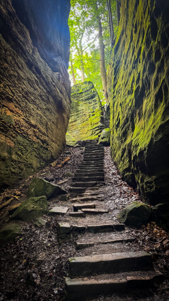 Cantwell Cliffs in Hocking Hills