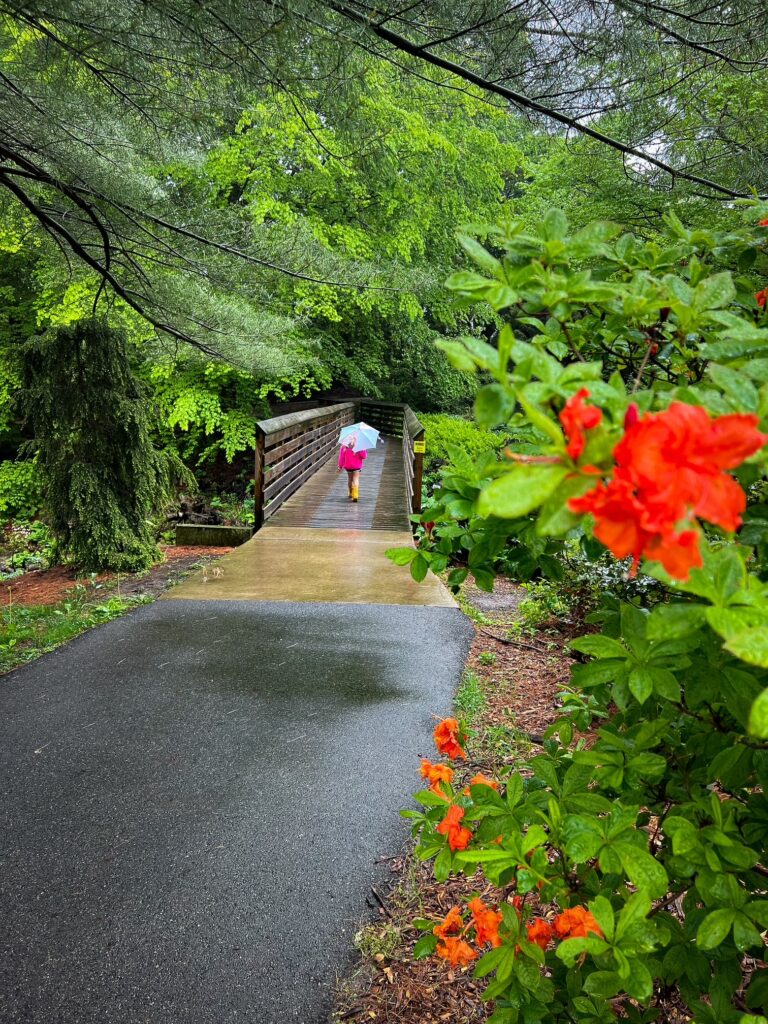 Dawes Arboretum