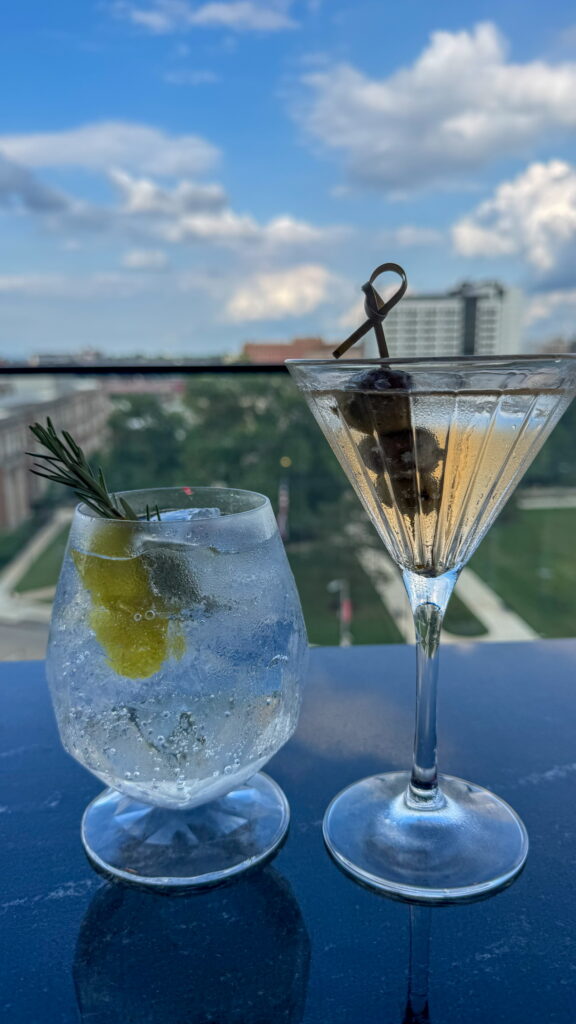 The Vick Rooftop Bar at Hotel Celare