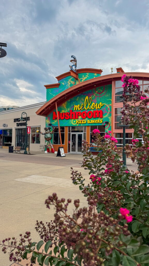Mellow Mushroom at Branson Landing 