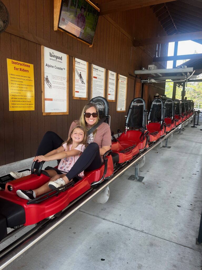 Copperhead Mountain Coaster 