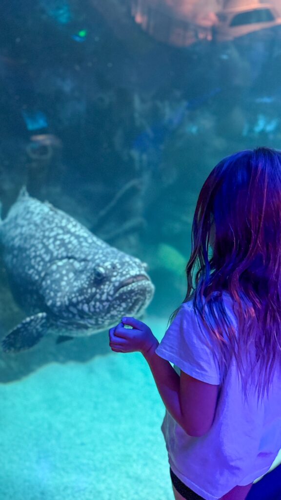 Making friends at the Wonders of Wildlife Museum 