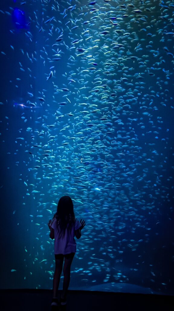 The exhibits are incredible at Wonders of Wildlife Museum and Aquarium 