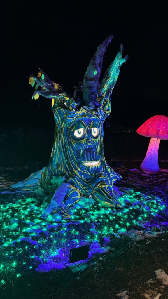 Light in the Forest at the Cincinnati Nature Center 