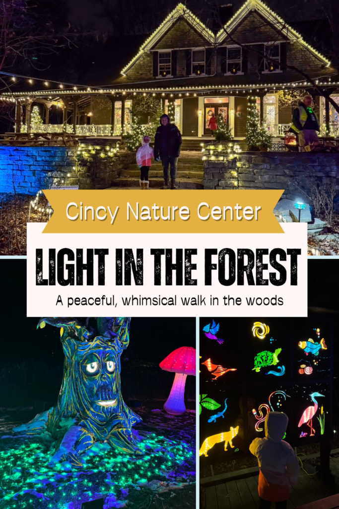 Light in the Forest at the Cincinnati Nature Center 