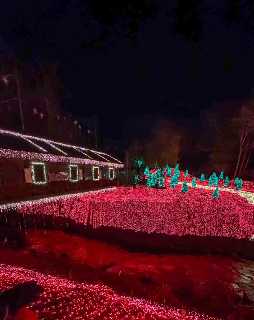 Covered Bridge Light Show is a must!