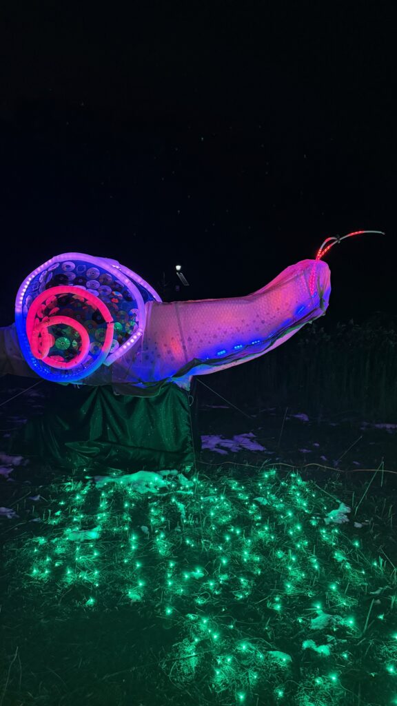 Tips for visiting the Light in the Forest 