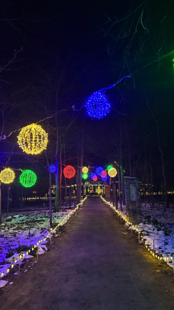 Alternative Holiday Activity in Cincinnati 