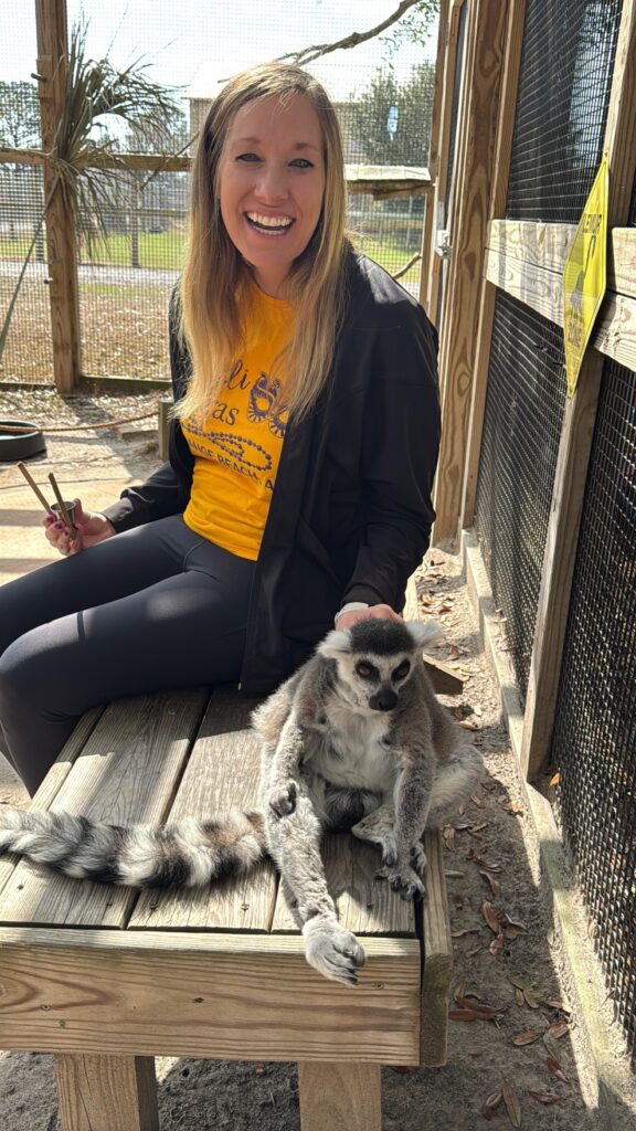 Get up close with the lemur experience at Alabama Gulf Coast Zoo