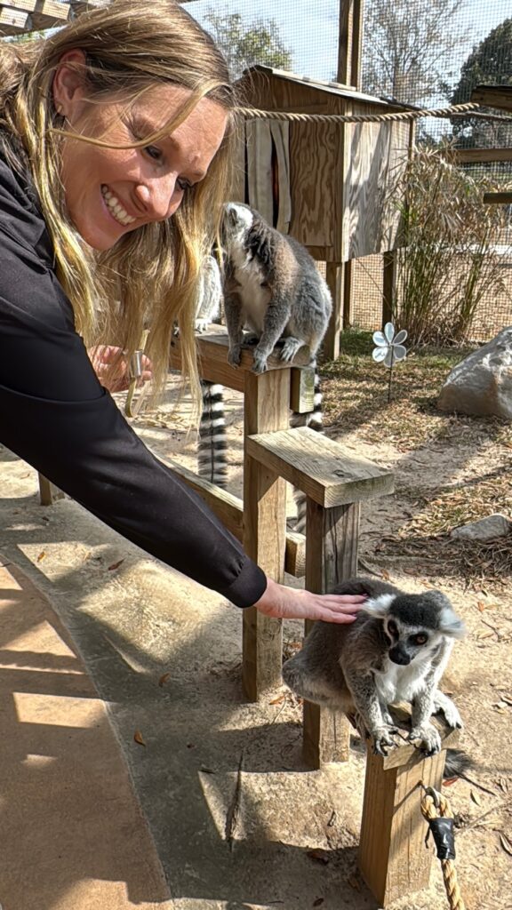 Yes, you can pet the lemurs if they allow it.