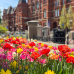 Spring Blooms in Cincinnati