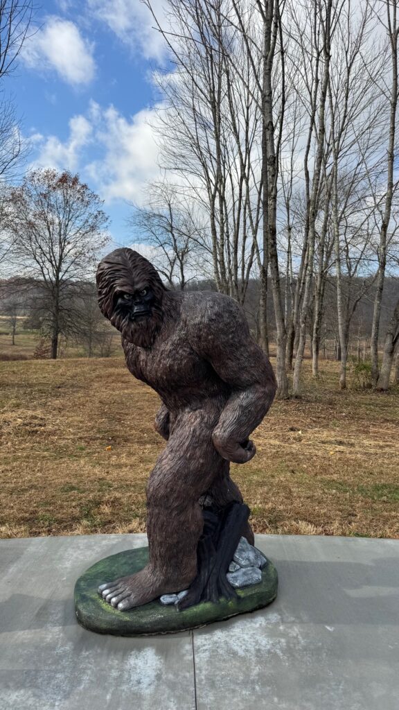 Go looking for bigfoot at Salt Fork Lake