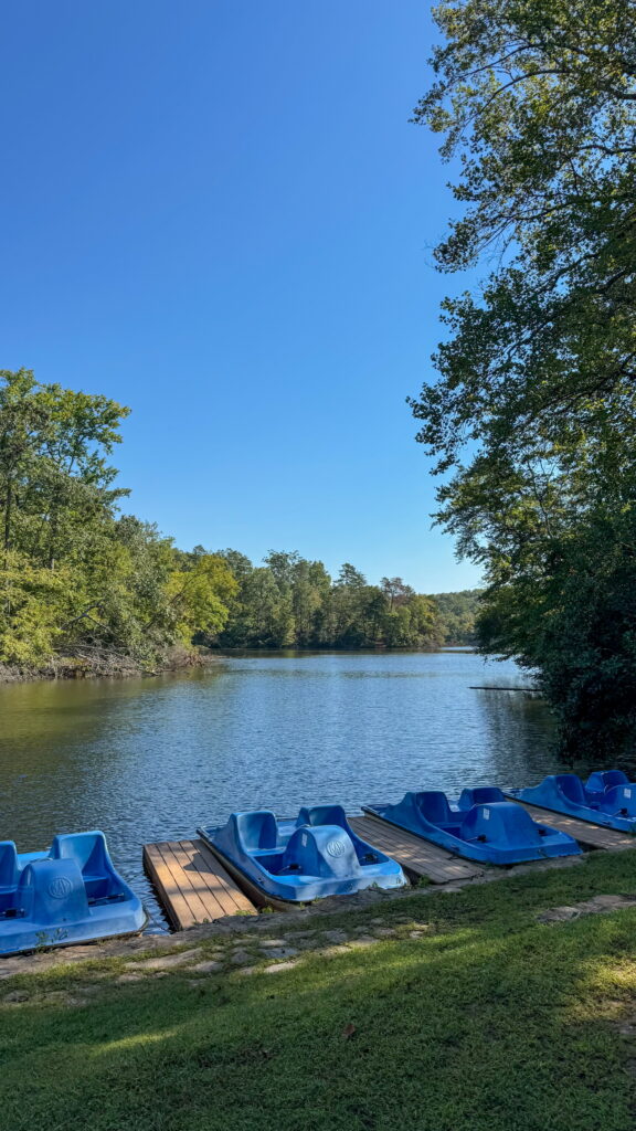 Paddle boats at Lake Placid