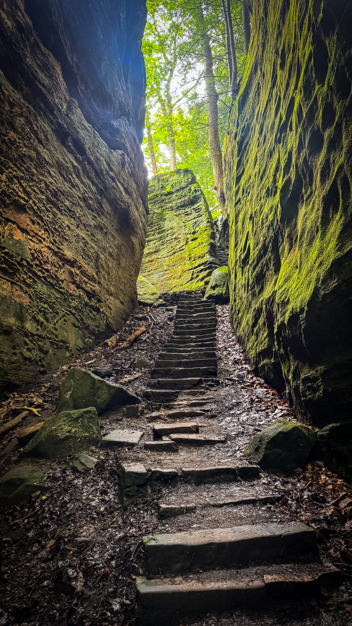 cantwell cliffs hiking guide