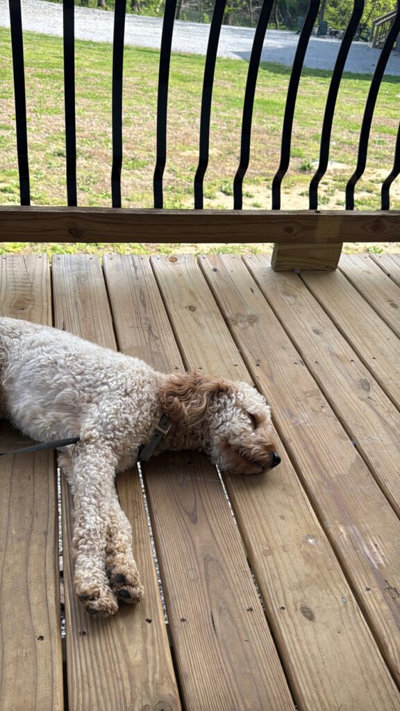 Relaxing on the patio