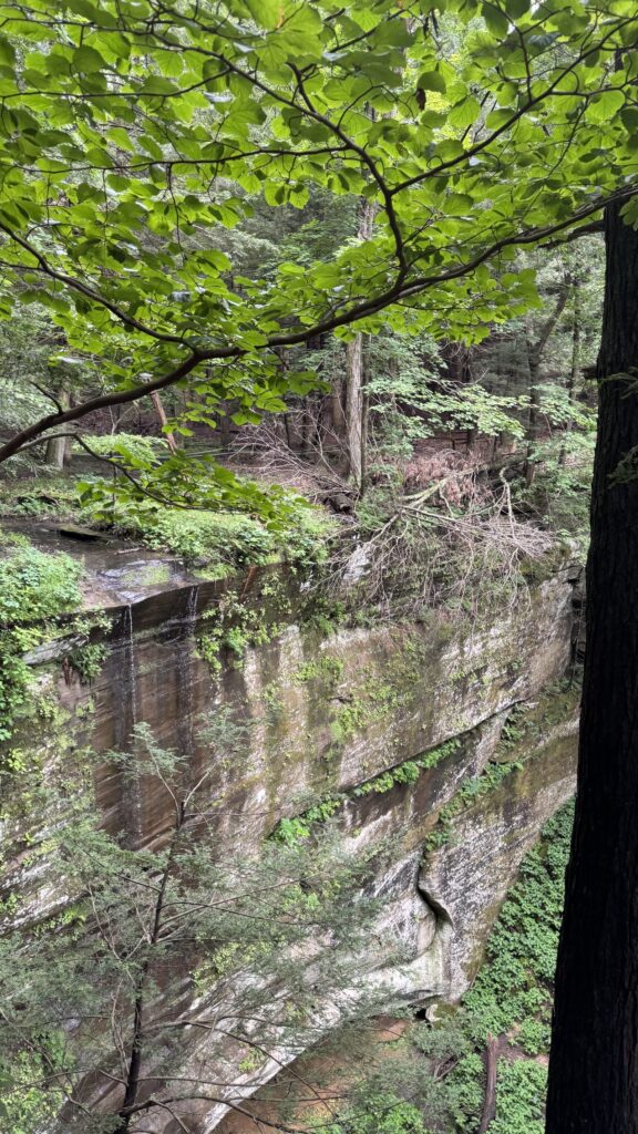 Steep Cliffs along Cantwell Cliffs