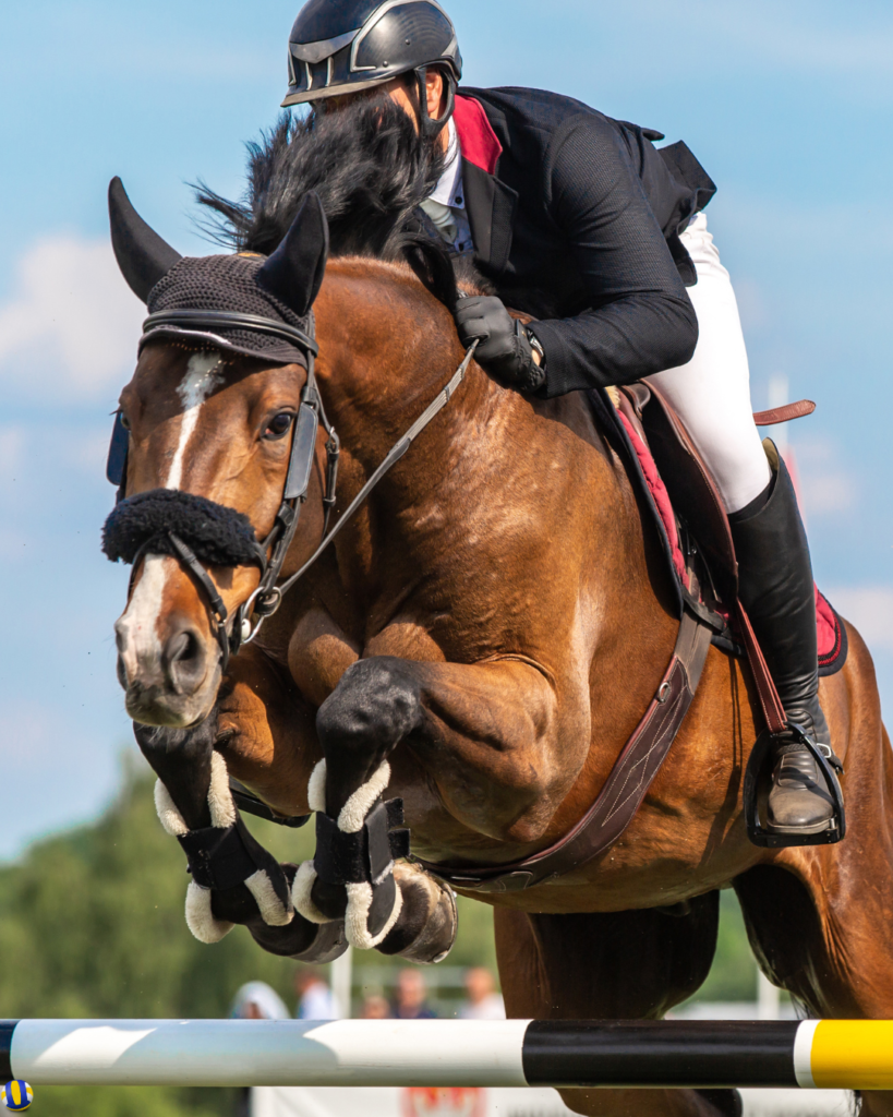 The World Equestrian Center is not to be missed