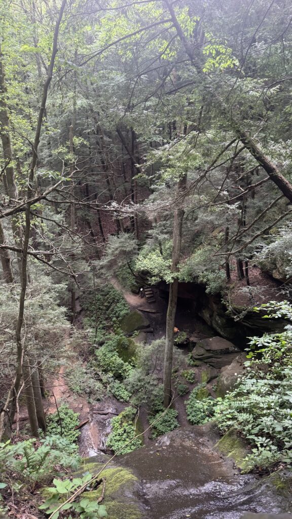 View from Rim Trail in Cantwell Cliffs