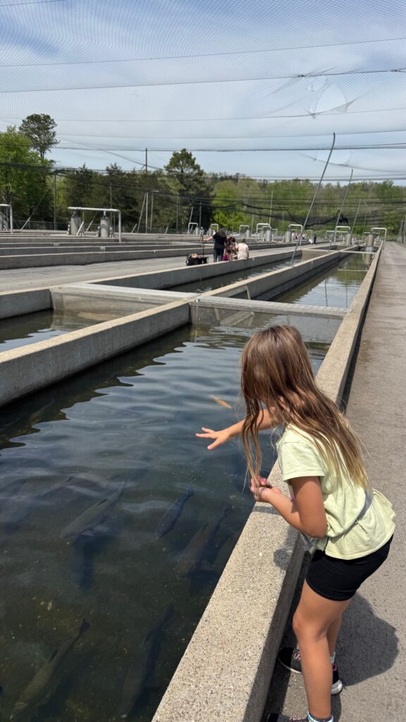 Wolf Creek Fish Hatchery 