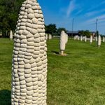 Field of Corn in Dublin OHio