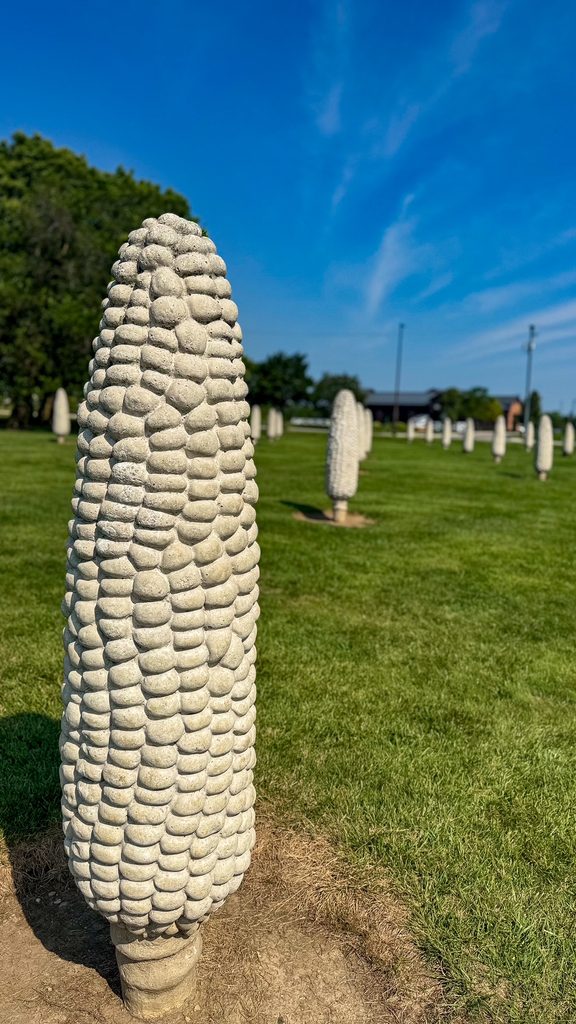Field of Corn in Dublin, Ohio 