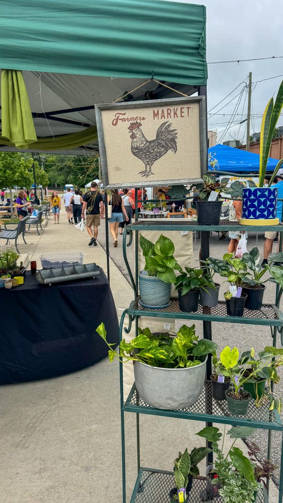 Visit the Franklin Farmer's Market