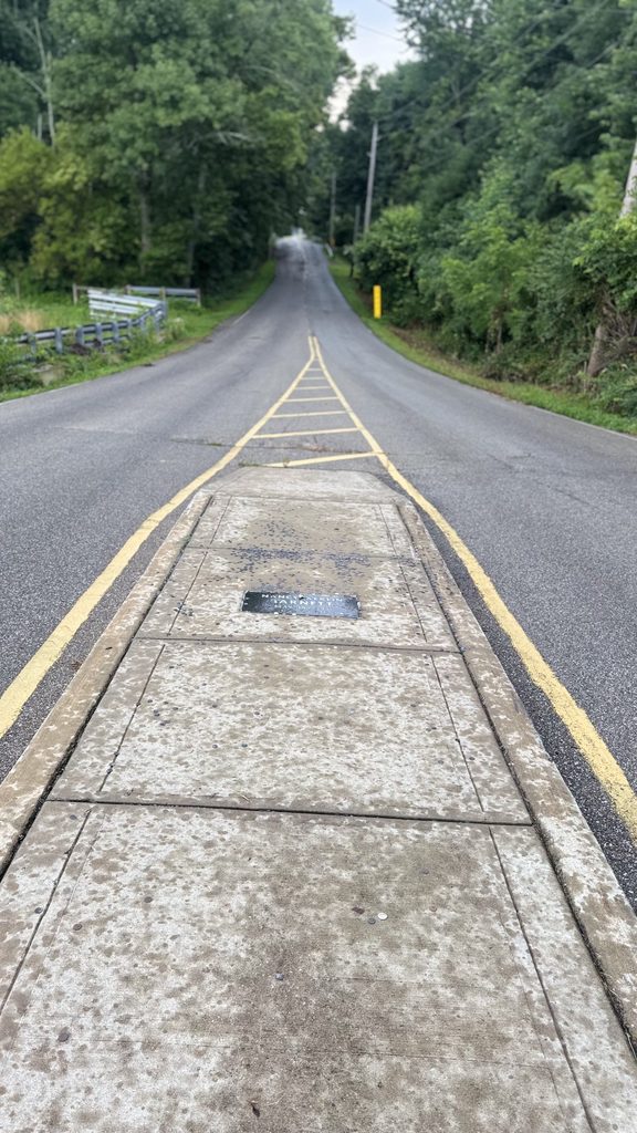 The Grave In The Middle of the Road 